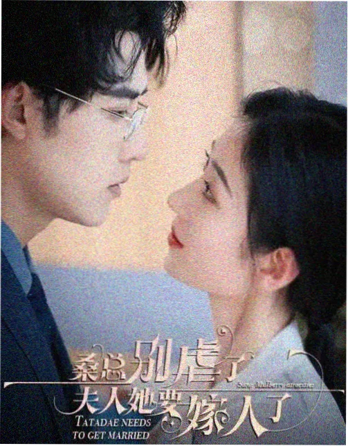 归港 免费高清电视剧